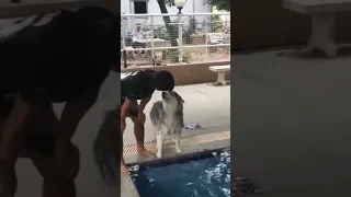 Dog argues with his owner because he doesn’t want to swim