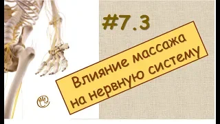 Влияние массажа на нервную систему | Урок 7, часть 3 | Обучение массажу