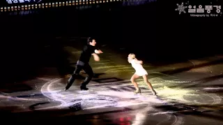 EX 03 Aliona SAVCHENKO & Bruno MASSOT @ 2014 All That Skate Day3 Act2