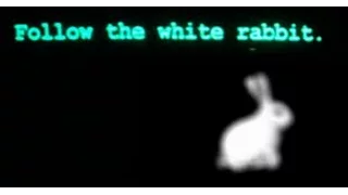 Следуй за Белым Кроликом... Follow the white rabbit...