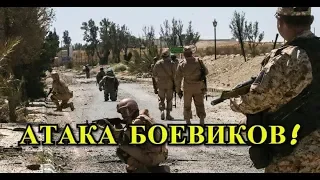 Боевики в Сирии Напали на Алеппо и Идлиб!