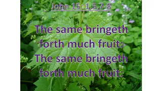 John 15: 1,5,7-8, I am the true vine.KJV, singalong w lyrics, key of D