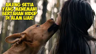 Kisah Anak Manusia Bersama Seekor Anjing Bertahan Hidup Di Alam Liar | Alur Cerita Film Prey 2022