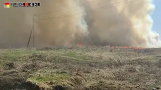 В Камне-на-Оби из-за пала травы чуть не загорелись дома