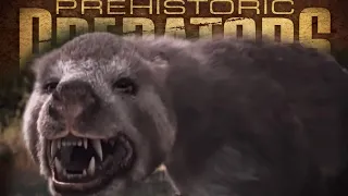 Prehistoric Predators - Amphicyon