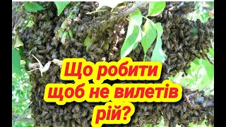 Як не дати вийти рою під час взятку? Як попередити роїння?