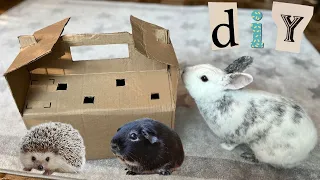 Easy DIY Cardboard Small Pet Carrier 🐰