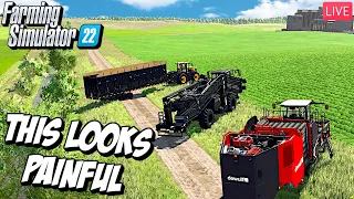 🔴LIVE | Our Biggest Root Crop Harvest EVER! | Farming Simulator 22