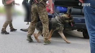 Кінологи НГУ у прифронтовій зоні