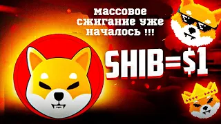 МАССОВОЕ СЖИГАНИЕ SHIBA INU НАЧАЛОСЬ!!! / ТЕПЕРЬ ОФИЦИАЛЬНО - AMC БУДЕТ ПРИНИМАТЬ SHIB