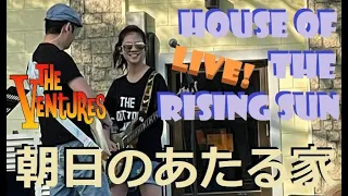 ベンチャーズ House of the Rising Sun LIVE! 朝日のあたる家 Ventures- young guitarist Mina Pang The Cotton Kids 千齡
