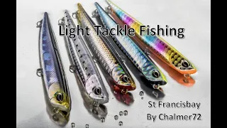 Yellowtail fishing St Francisbay Light Tackle Spinning