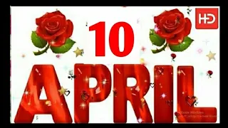 10 April Special New Birthday Status Video , happy birthday wishes, birthday msg quotes जन्मदिन