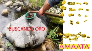 PEPITAS DE ORO CATALUÑA ESPAÑA Gold nuggets Katalonien Spanien