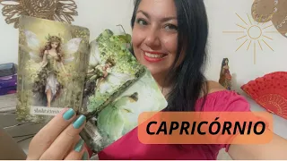 CAPRICÓRNIO♑️Conclusão bem sucedida sobre essa situação! no topo, prontos pra brilhar #capricornio