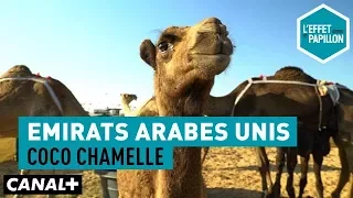 Émirats Arabes Unis : Coco chamelle - L’Effet Papillon