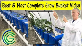 COMPLETE DUTCH BUCKET Instructions - DIY Hydroponic Grow Buckets