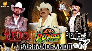 Parrandeando Conjunto Río Grande - Los Pumas Del Norte - Pepe Tovar