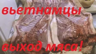 Выход мяса с вьетнамцев/выгодно?