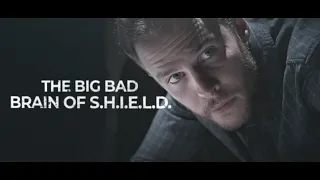 Leopold Fitz  | THE BIG BAD BRAIN OF S.H.I.E.L.D. [1x01 - 7x13]