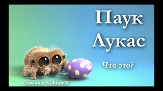 Паучок Лукас 16 серия