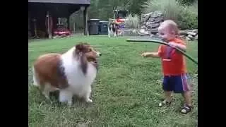 Дети и животные  Смешные дети  Малыш играет с собакой