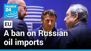 EU agrees ban on 'more than two thirds' of Russian oil imports • FRANCE 24 English