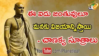 Things To Learn From These 5 Animals - Chanakya Niti | ఐదు జంతువులు నుంచి మనం తెల్సుకోవల్సిన సత్యాలు