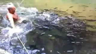 Piranha Attack!