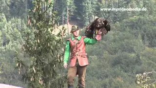 Festung Hohenwerfen, Greifvogelschau - Austria HD Travel Channel