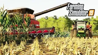 IS THIS A CASE OR A MASSY COMBINE?? | FS19