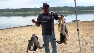 Pesca de Bagres/crappie/Carpas/Lake San Antonio CA