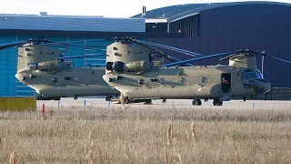 [4K] Early hour at De Kooy - Dutch CH-47F Chinook - D-603 "GRZLY83"