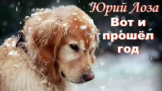 Философская песня от Юрия Лозы – Вот и прошёл год