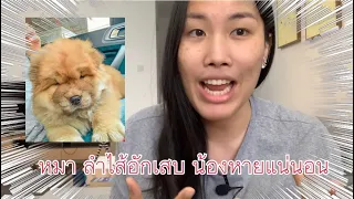 EP.56 รักษาลำไส้อักเสบ น้องหมา 🐶 แค่ 3 อย่าง หายดีแน่นอน 🥰 | Fai