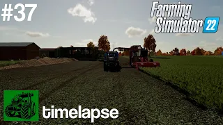 Řepná kampaň? | Epizoda 37 | Soukromníci | Timelapse | FS22