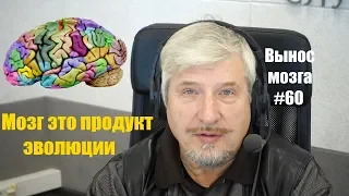 С.В. Савельев«Мозг-продукт эволюции» Сергей Савельев (Вынос мозга #60)