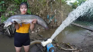 Harvesting fish With large capacity pump sucks water out of the lake - Go to the village market sell