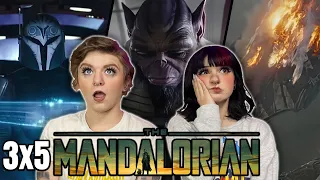 The Mandalorian | Season 3 | Episode 5 Reaction