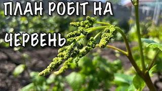 ПЛАН РОБІТ НА ЧЕРВЕНЬ