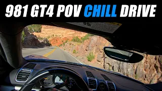 981 Porsche GT4 POV Chill Drive