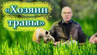 Флок на макете. Техника флокирования.  Тестируем новый флокатор NOCH "Gras-Master" 3.0