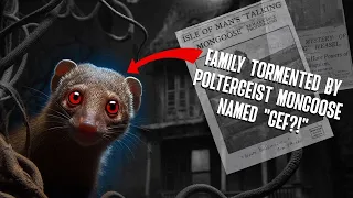 Family Tormented By Poltergeist Mongoose Named "Gef?!"