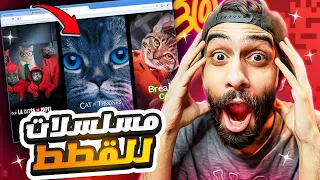 ممنوع دخول غير القطط ( مسلسلات للقطط بس )🐱🤣 اغرب 5 مواقع على جوجل هيخلوك تفتح بوقك