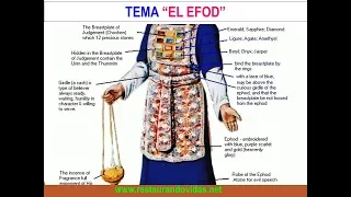 EL EFOD