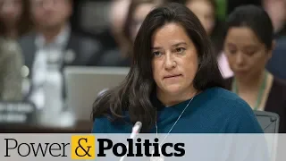 Wilson-Raybould's testimony raised alarms for OECD