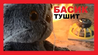 Басик тушит!