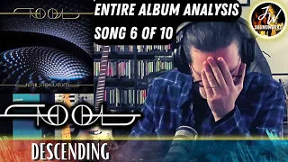 Musical Analysis/Reaction of TOOL - Descending