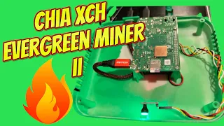 Chia XCH evergreen miner setup