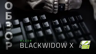 Обзор Razer BlackWidow X